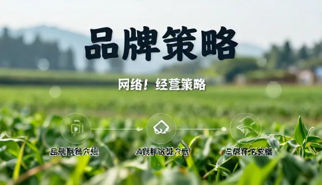 策略调整中的数字化转型实践环节解析