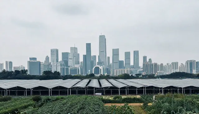 企业管理咨询中检查要点的常见误区解析