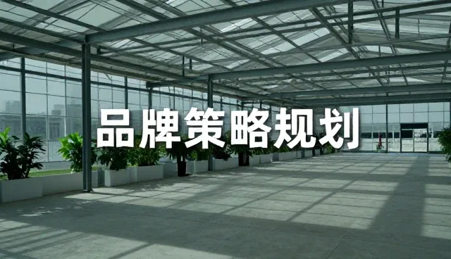 地区管理在品牌咨询中的性能表现与适用条件分析